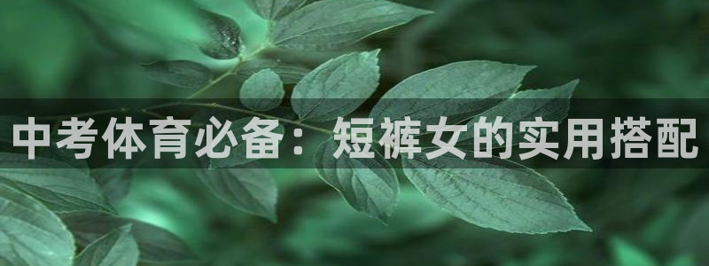 红蓝体育软件官方免费下载