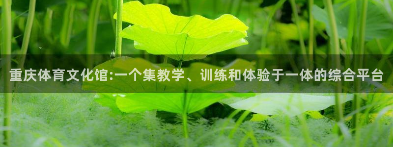 红蓝体育黑吗：重庆体育文化馆:一个集教学、训练和体验于一体的综合平台