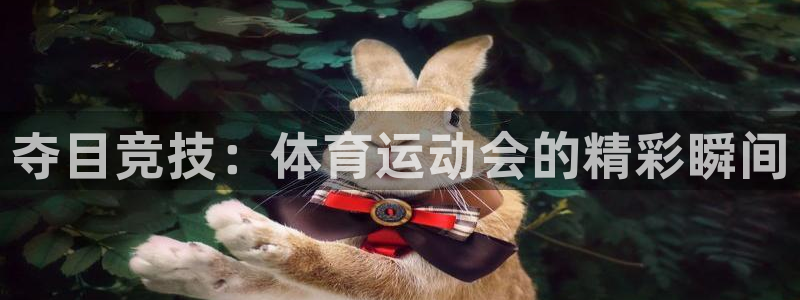红蓝体育正规吗：夺目竞技：体育运动会的精彩瞬间