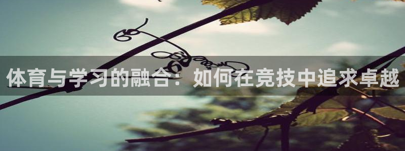 红蓝体育是正规还是假