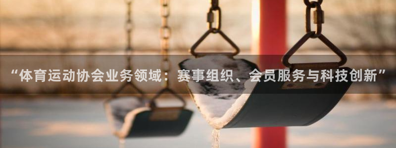 红蓝体育网页版：“体育运动协会业务领域：赛事组织、会员服务与科技创新”