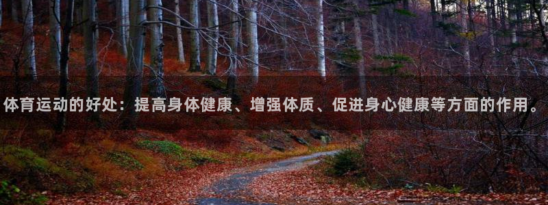 红蓝体育下载安装：体育运动的好处：提高身体健康、增强体质、促进身心健康等方面的作用。
