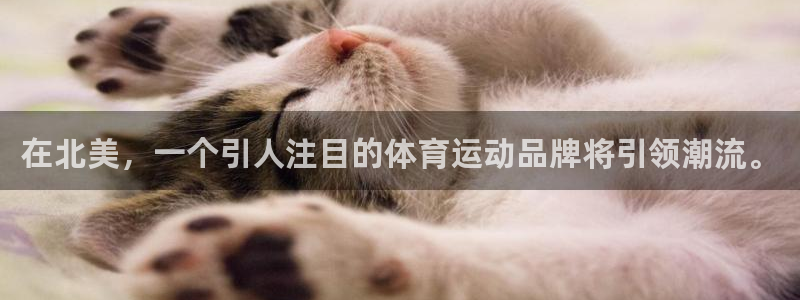 红蓝体育金额锁定