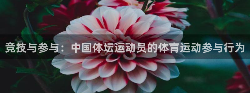 红蓝体育真假