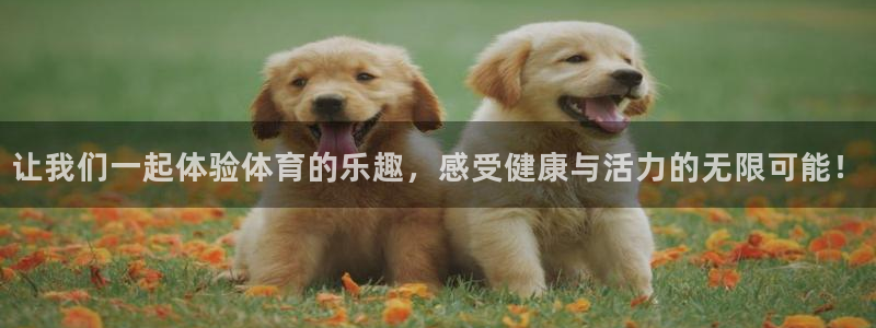 红蓝体育直播在线观看：让我们一起体验体育的乐趣，感受健康与活力的无限可能！