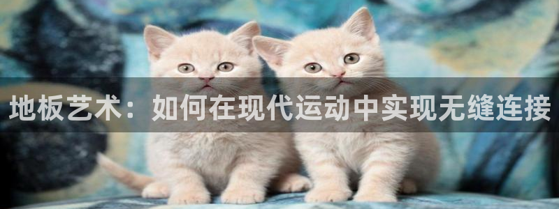 红蓝体育honglan：地板艺术：如何在现代运动中实现无缝连接