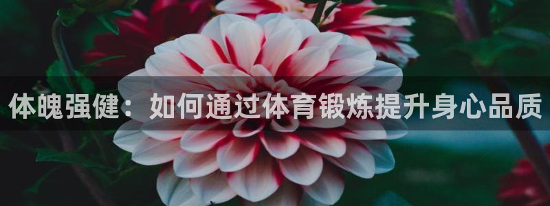 红蓝体育软件官方免费下载