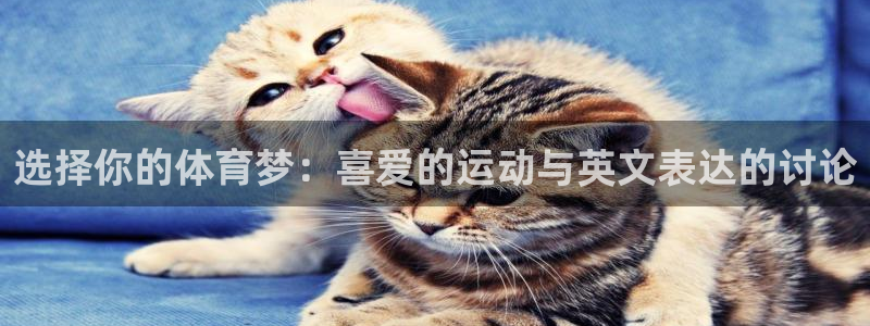 红蓝体育能提现吗