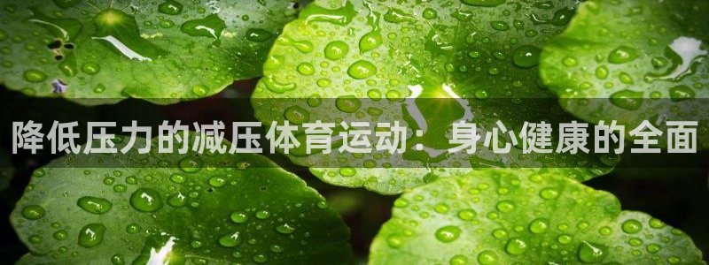 红蓝体育是正规还是假